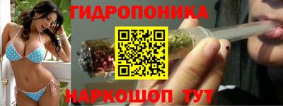 apvp Нарткала