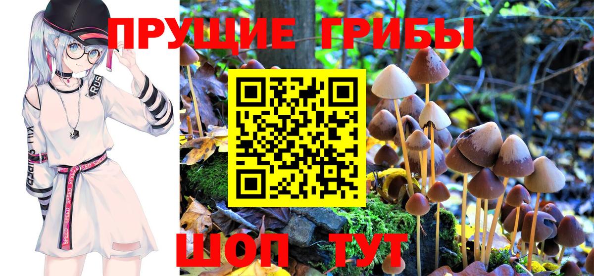 Галлюциногенные грибы Psilocybe  купить закладку  Соль-Илецк  Вход с VPN 